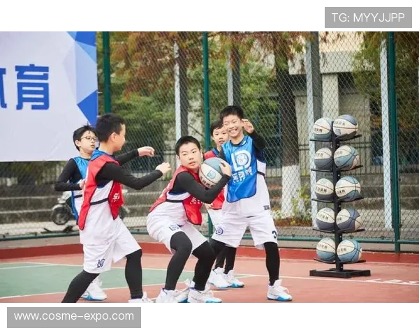 乐动体育网页登录：登录后可以享受哪些独家体育内容和会员权益